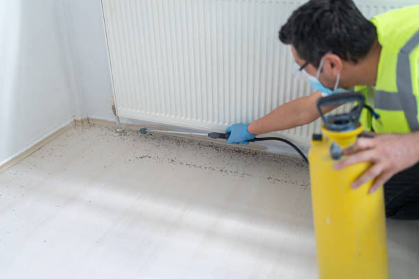 Pest Control for Restaurants in Malaga, NJ